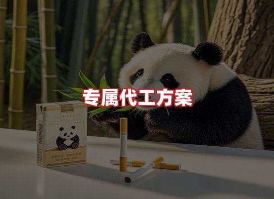 专业团队